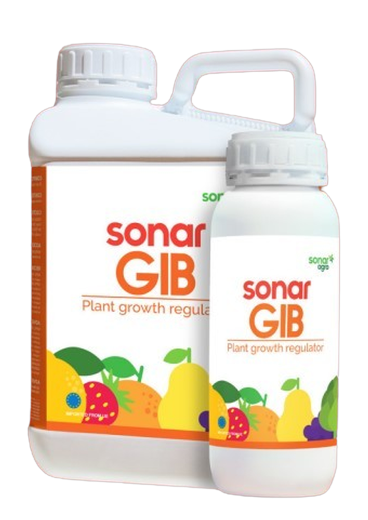 Sonar GIB packing 1L 5L